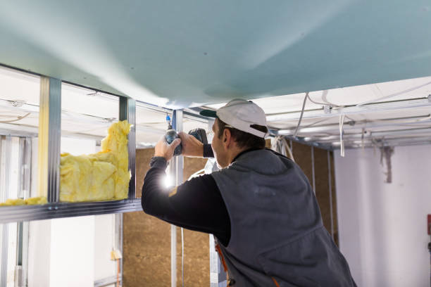 Best Insulation Installation Services in Whetstone, AZ