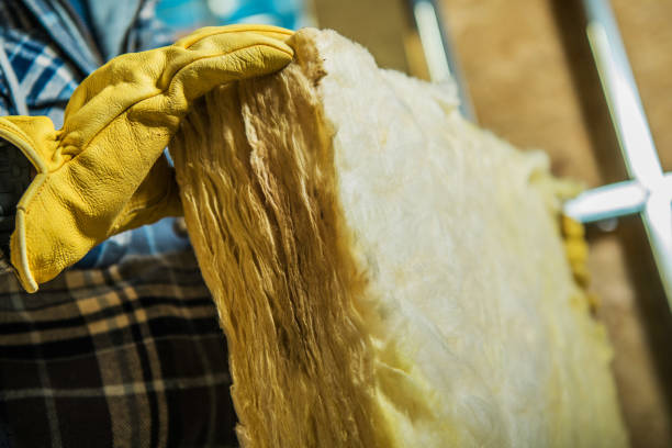 Best Insulation Installation Services in Whetstone, AZ